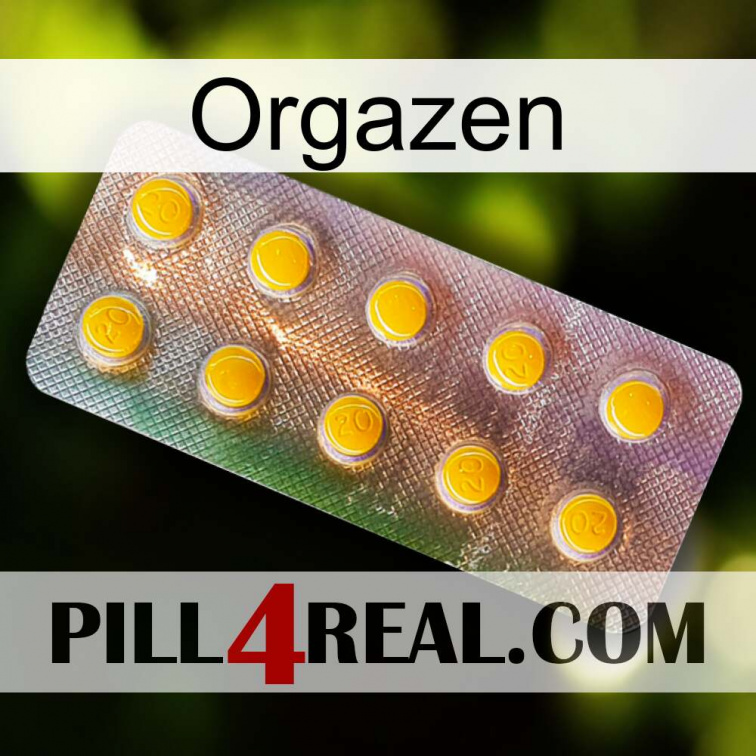 Orgazen new11